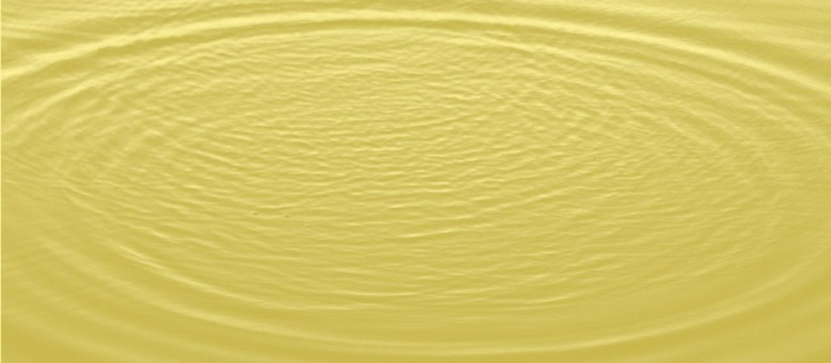 Detalle de portada. «Tiempo curvo en Krems» de Claudio Magris