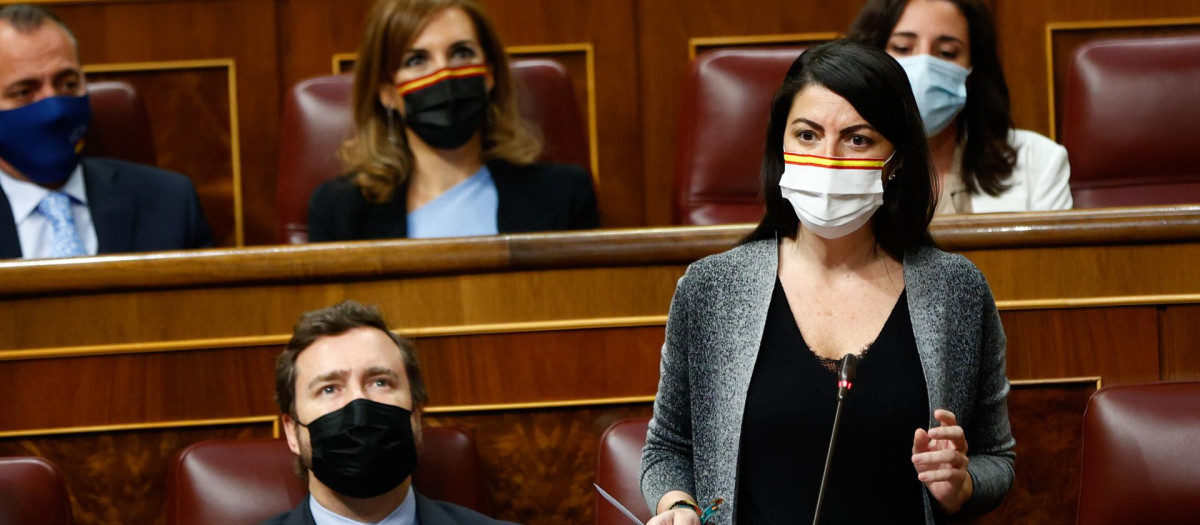 Macarena Olona e Iván Espinosa de los Monteros durante una sesión plenaria en el Congreso de los Diputados