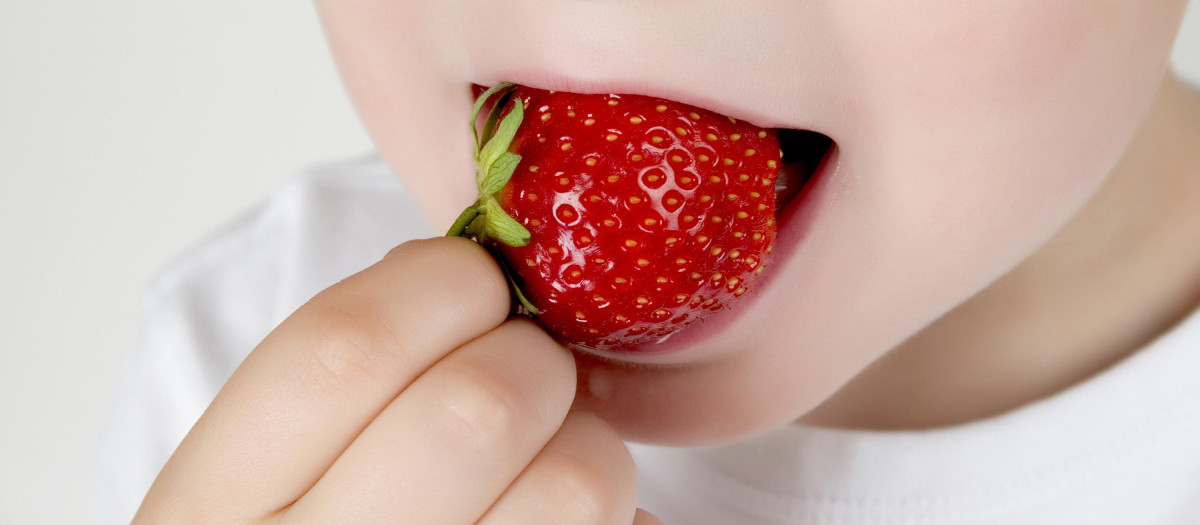 strawberry.laugh,laughs,laughing,twit,giggle,smile,smiling,laughter,laughingly,smilingly,smiles,hand,mouth,strawberry,bite off,young,younger,child,eating,eat,eats,laugh,laughs,laughing,twit,giggle,smile,smiling,laughter,laughingly,smilingly,smiles,hand,green,mouth,fruit,hold,strawberry,berries,bite off,organic,young,younger,child,eating,eat,eats,red,strawberries,fresh,süss