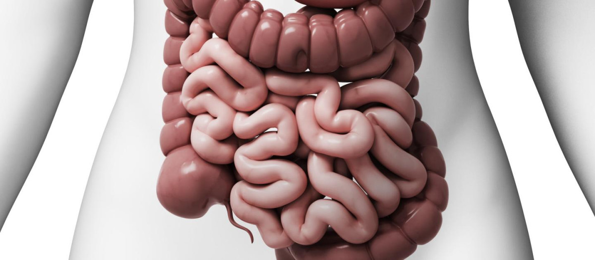Los investigadores han descubierto que los síntomas del SII pueden ser causados por afecciones como la ansiedad