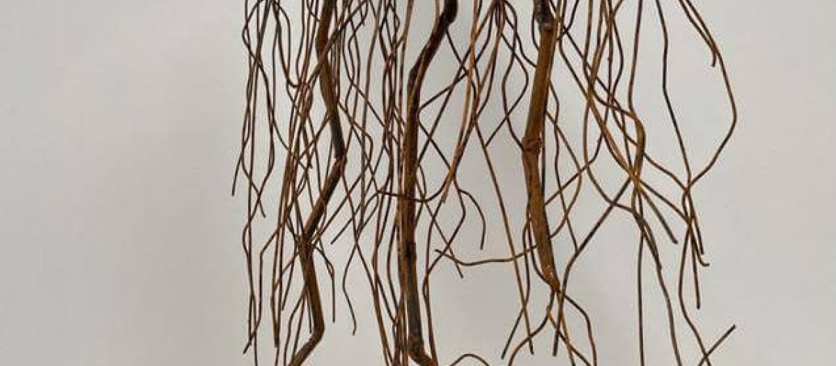 Legado para mis hijos