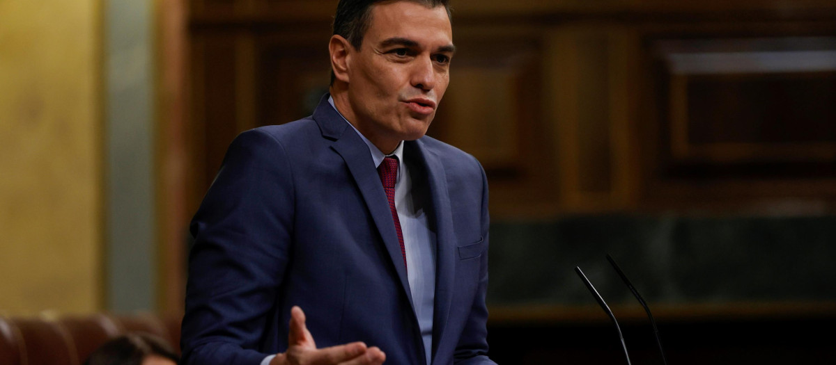 sanchez casado conspira