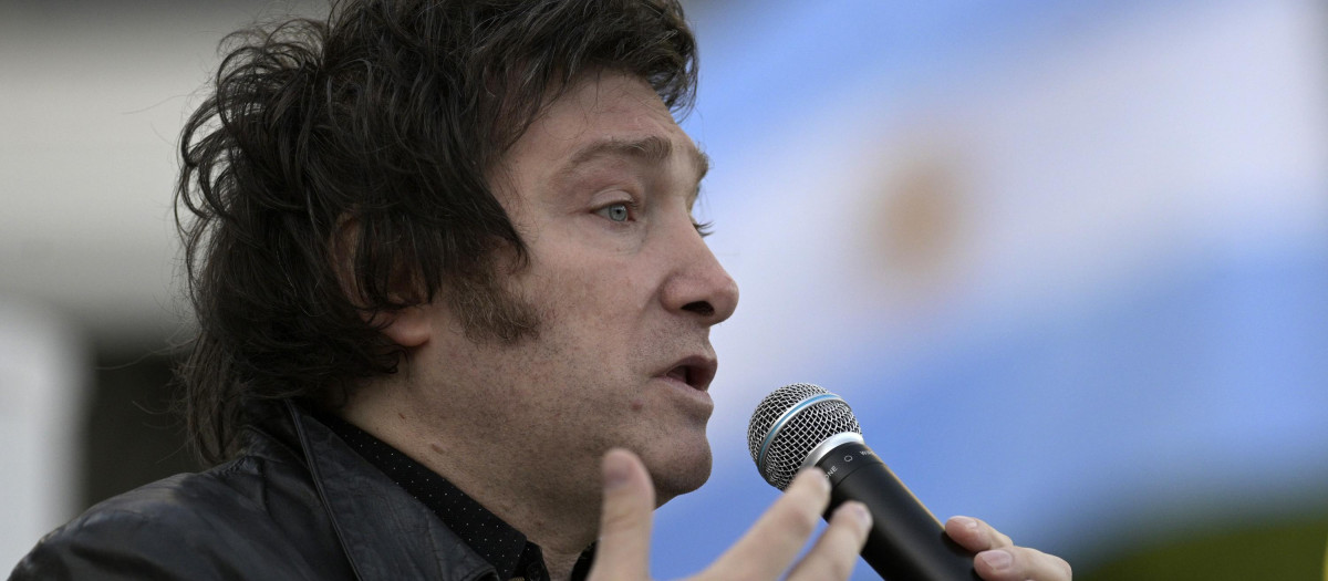 El economista Javier Milei