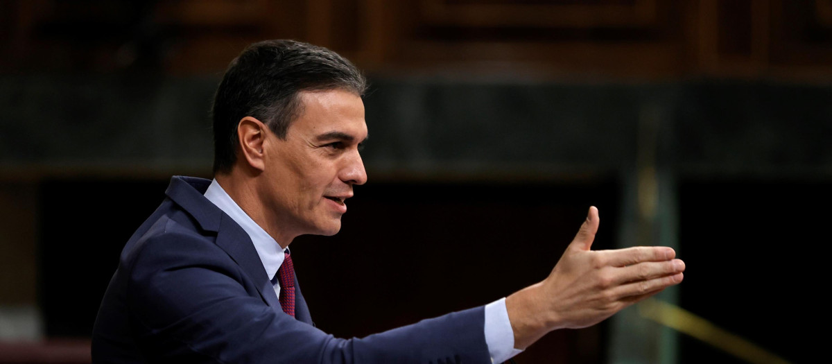 Pedro Sánchez esta semana en el Congreso