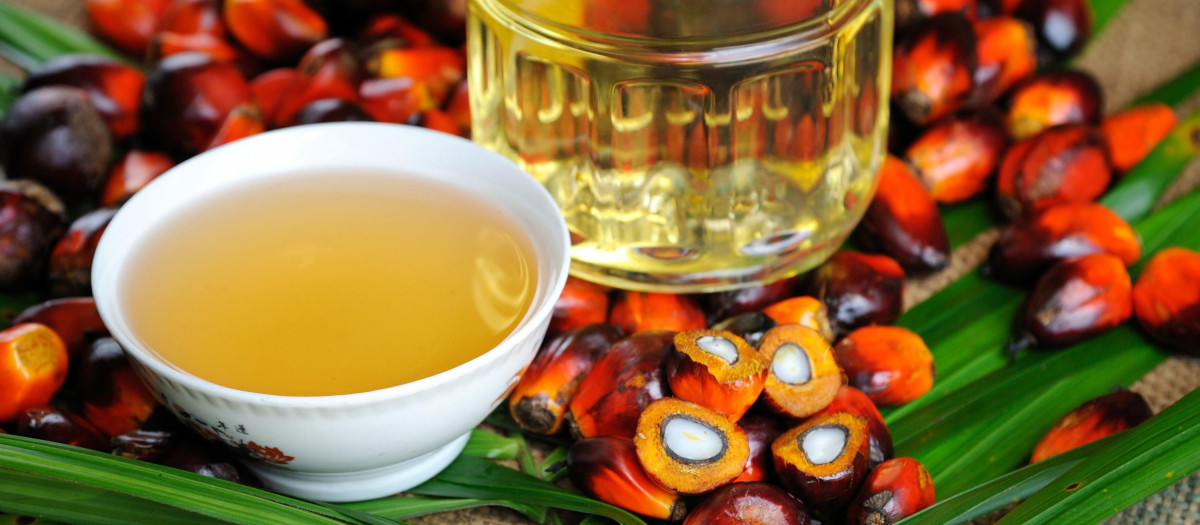 Aceite de palma