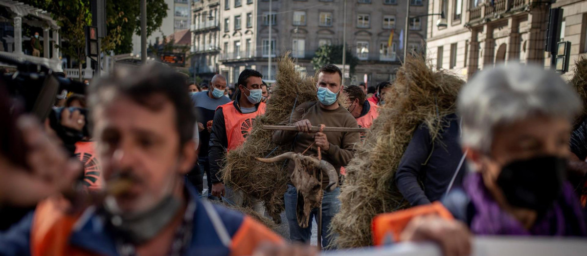 Ganaderos protestan en Ourense para denunciar la grave crisis del sector