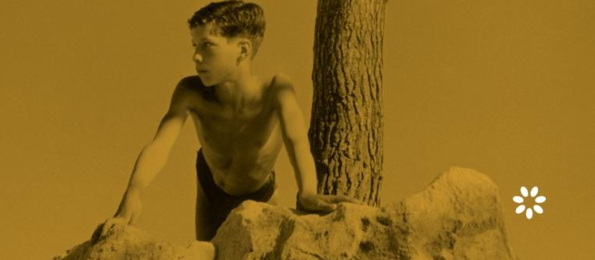 Detalle de portada. «Lejos de Egipto» de André Aciman