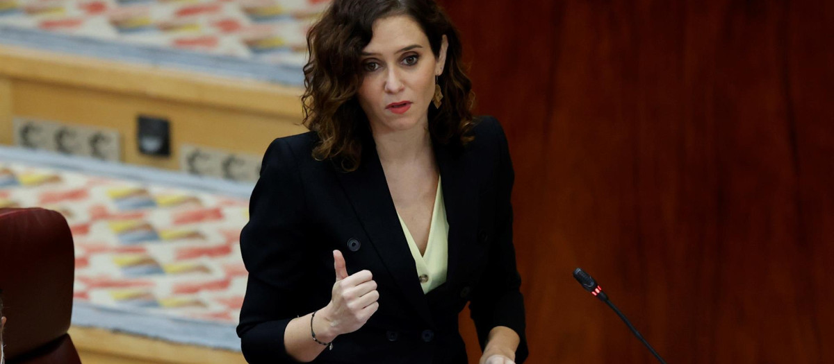Díaz Ayuso, en la Asamblea de Madrid