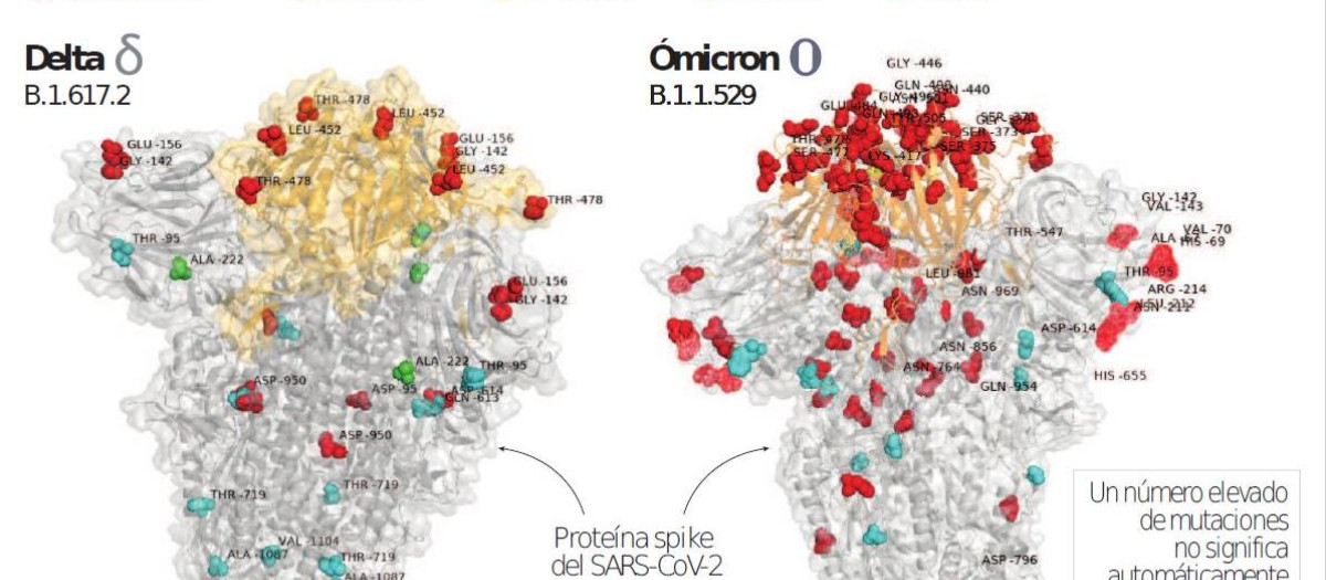 la nueva variante ómicron y sus mutaciones