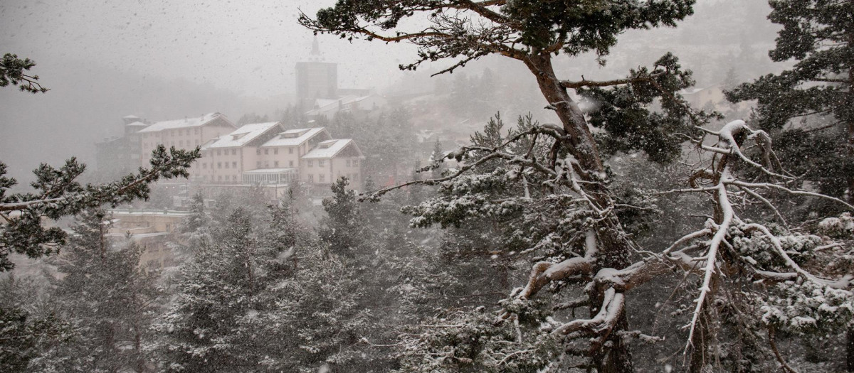 Árboles cubiertos de nieve en el Puerto de Navacerrada, a 22 de noviembre de 2021, en Madrid