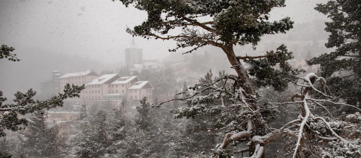 Árboles cubiertos de nieve en el Puerto de Navacerrada, a 22 de noviembre de 2021, en Madrid