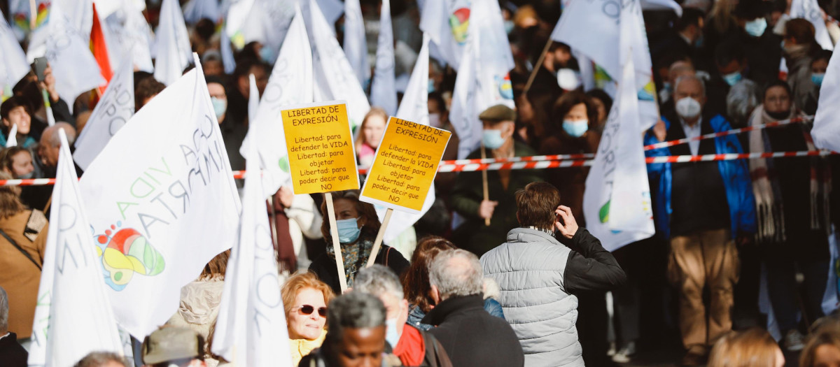 Manifestación provida en Madrid, este mes de noviembre