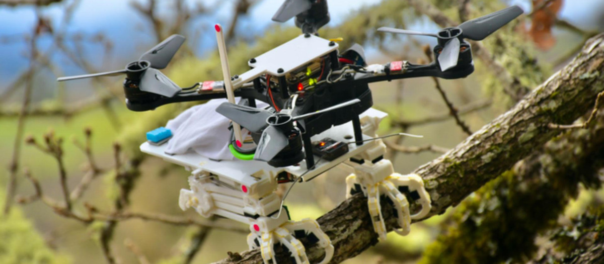 Imagen del robot Snag sobre una rama