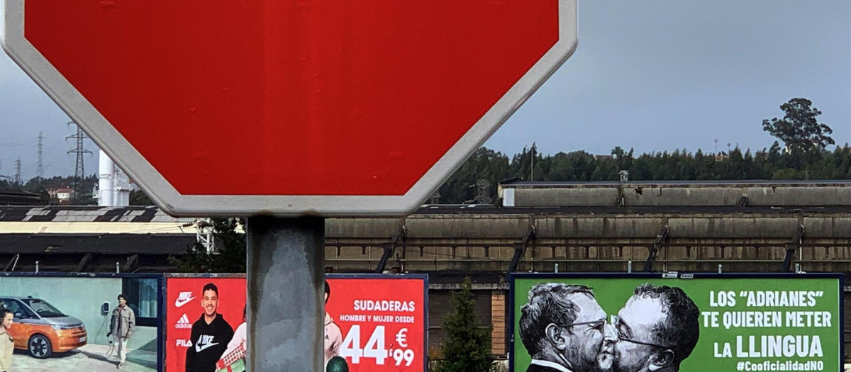 Carteles de Vox contra el bable en las afueras de Avilé