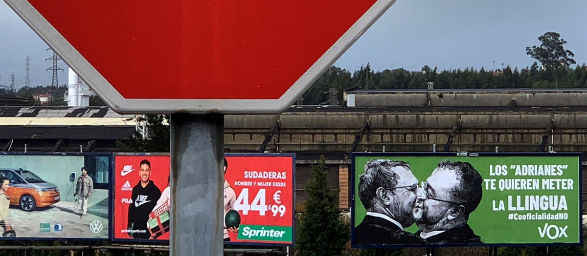 Carteles de Vox contra el bable en las afueras de Avilé