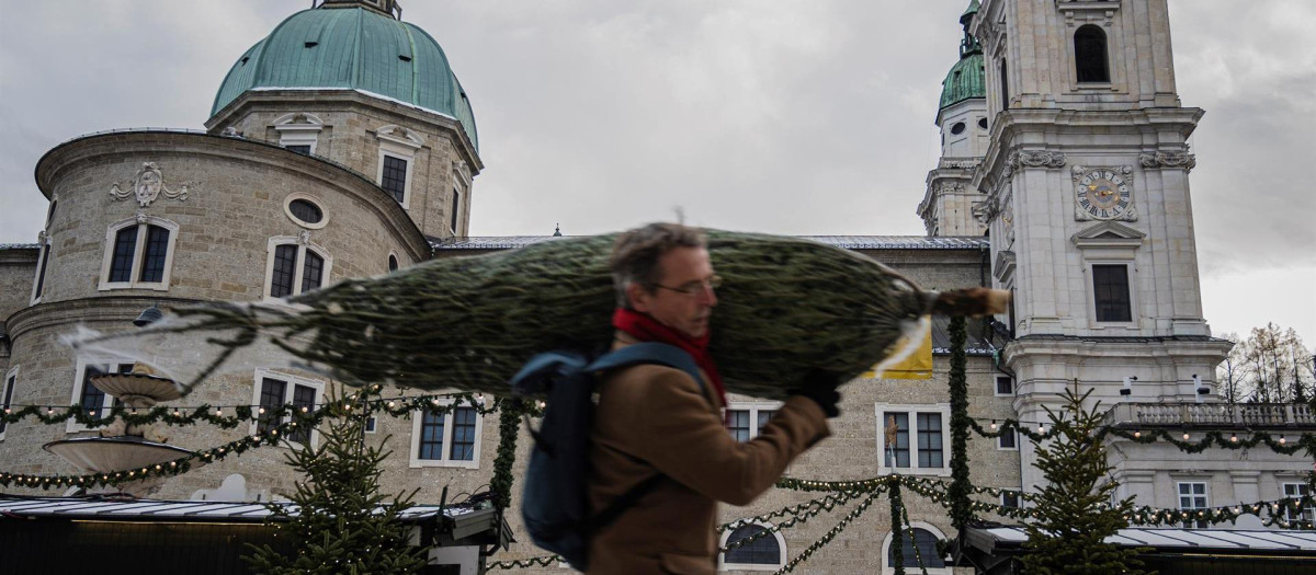 Un hombre transporta un árbol de Navidad en Austria la semana pasada