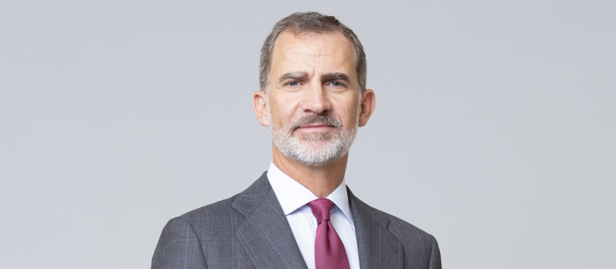 Felipe VI, en una fotografía oficial de la Casa de S.M. el Rey.