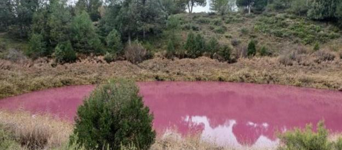 La laguna de Las Tortugas, tras su último 'tinte'