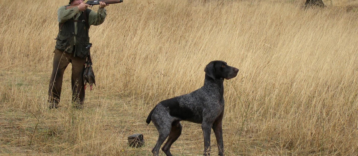 Un cazador, junto a su perro