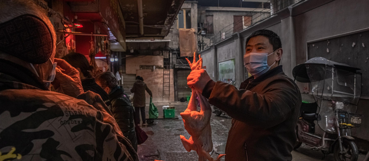 Un hombre con una mascarilla escoge un pollo en el mercado callejero de Wuhan