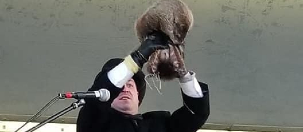 La marmota Milltown Mel en el día de la marmota de Nueva Jersey