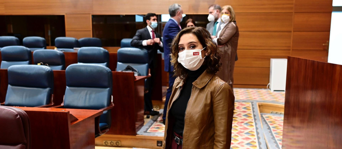 Isabel Díaz Ayuso en la Asamblea