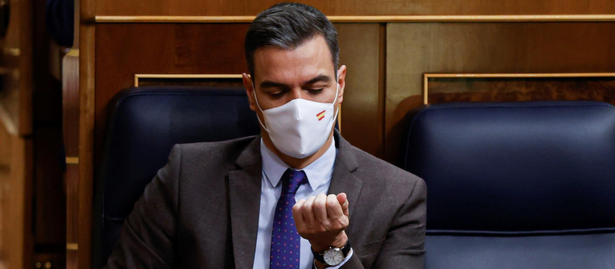 Pedro Sánchez, en su escaño del Congreso de los diputados