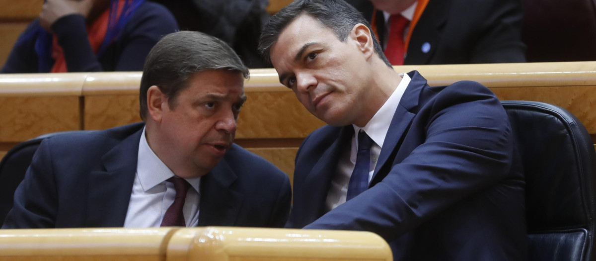 El ministro de Agricultura, Pesca y Alimentación, Luis Planas, junto al presidente Pedro Sánchez