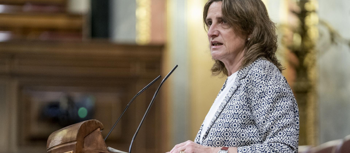Teresa Ribera, ha denunciado «la desigualdad» que está generando la falta de una respuesta común por parte de la UE