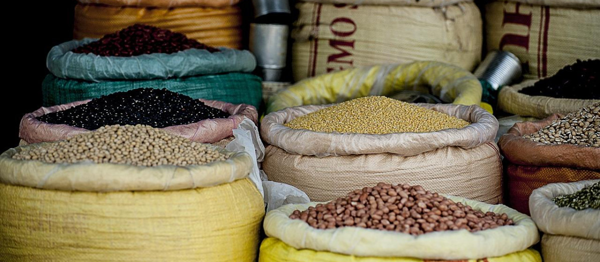 Las legumbres son uno de los alimentos más saludables que existen