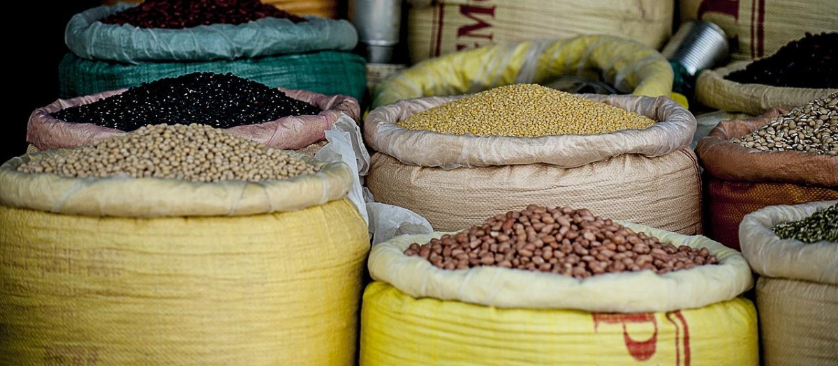 Las legumbres son uno de los alimentos más saludables que existen