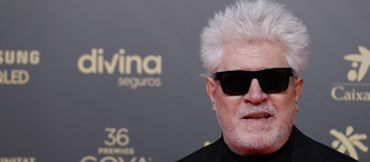 Pedro Almodovar