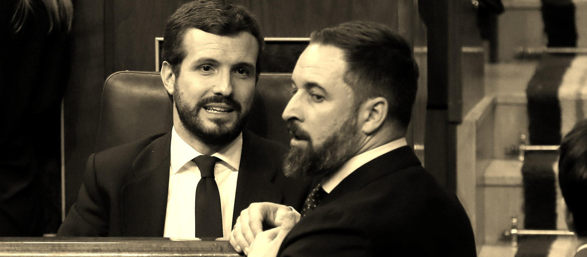 Pablo Casado y Santiago Abascal en el Congreso de los Diputados