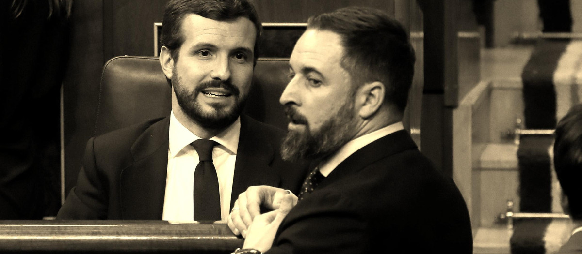 Pablo Casado y Santiago Abascal en el Congreso de los Diputados