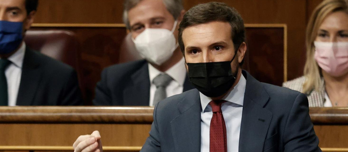 El líder del PP, Pablo Casado durante su intervención en la sesión de control al Gobierno este miércoles en el Congreso de los diputados.