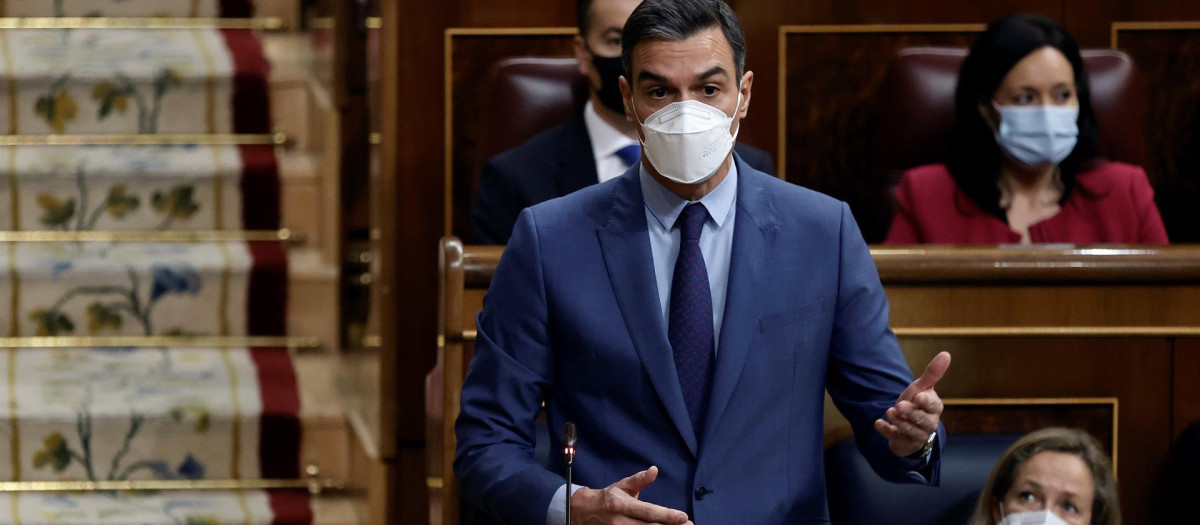 El presidente del Gobierno, Pedro Sánchez interviene durante la sesión de control al gobierno este miércoles en el Congreso de los diputados.