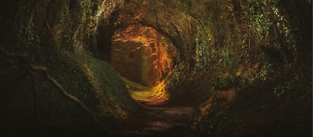 J.R.R. Tolkien: historia, leyenda, mito de Eduardo Segura