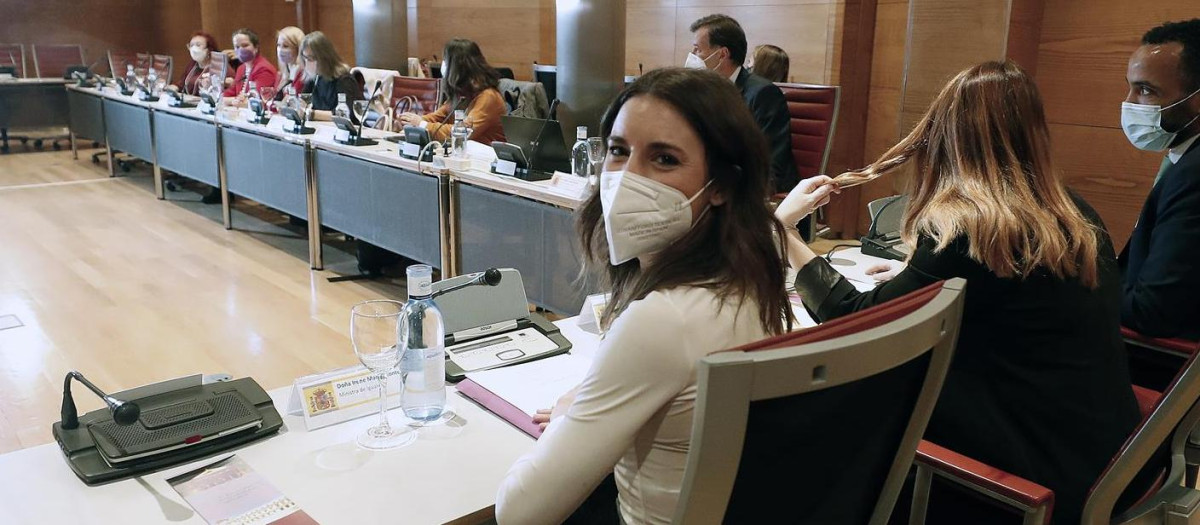 La ministra de Igualdad, presidiendo la conferencia sectorial de su materia el pasado jueves en el Senado