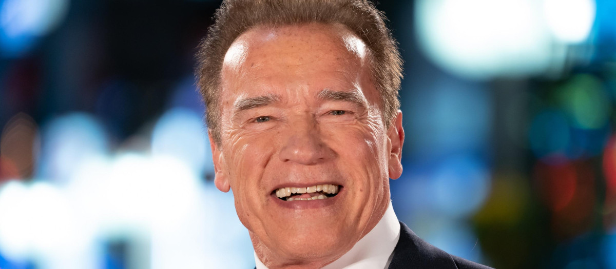 Actor Arnold Schwarzenegger at film premiere Terminator: Dark Fate in Tokyo.