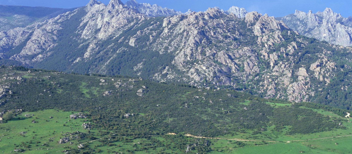 La Pedriza de Manzanares