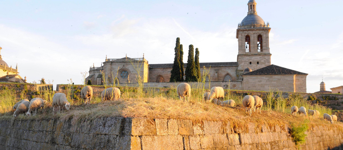 Un hombre fallece tras precipitarse al vacío en Ciudad Rodrigo
