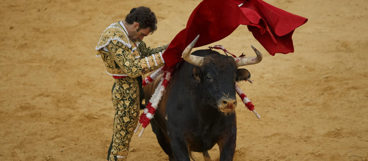 José Tomás en Valladolid en 2016