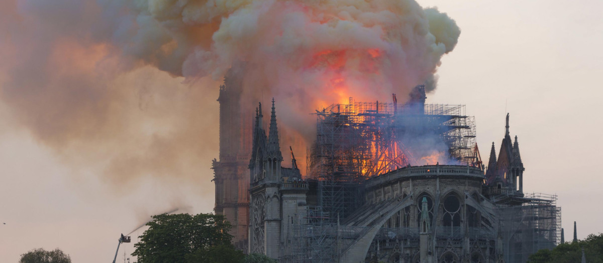 El ministro de Cultura francés ha anunciado importantes hallazgos en la catedral de Notre Dame de París