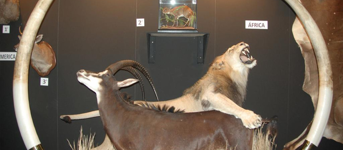 Feria de caza Cinegética 2022