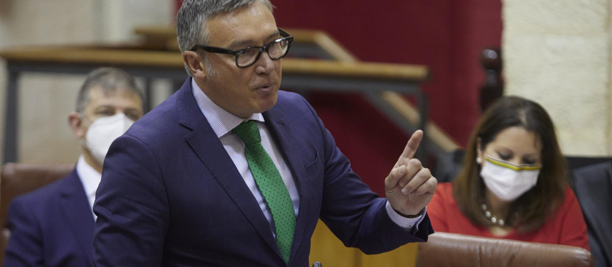 El portavoz del Grupo Parlamentario Vox, Manuel Gavira, durante la sesión plenaria ordinaria en el Parlamento de Andalucía