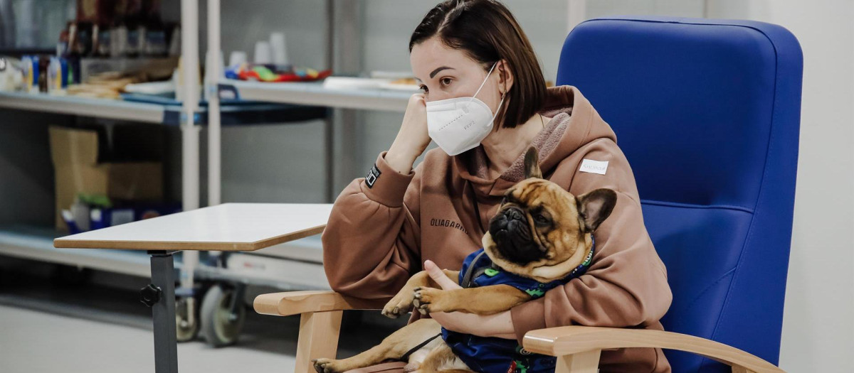 Una mujer refugiada, con un perro, espera a ser atendida, a su llegada al Hospital Isabel Zendal