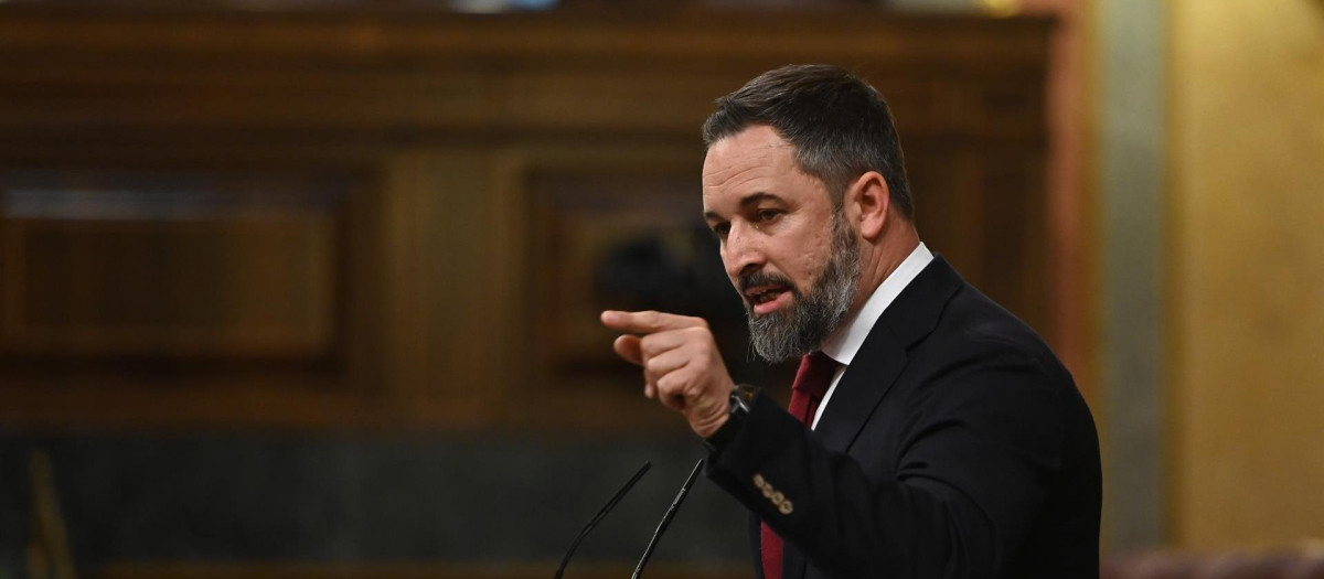 Santiago Abascal, durante su intervención el pasado miércoles en la sesión de control al presidente del Gobierno, Pedro Sánchez