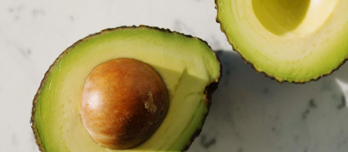 Cómo plantar un aguacate en casa