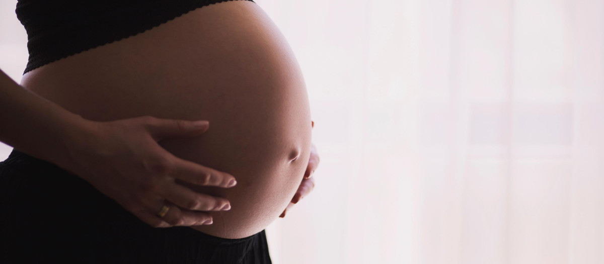 Vientre de alquiler, mujer embarazada, embarazo