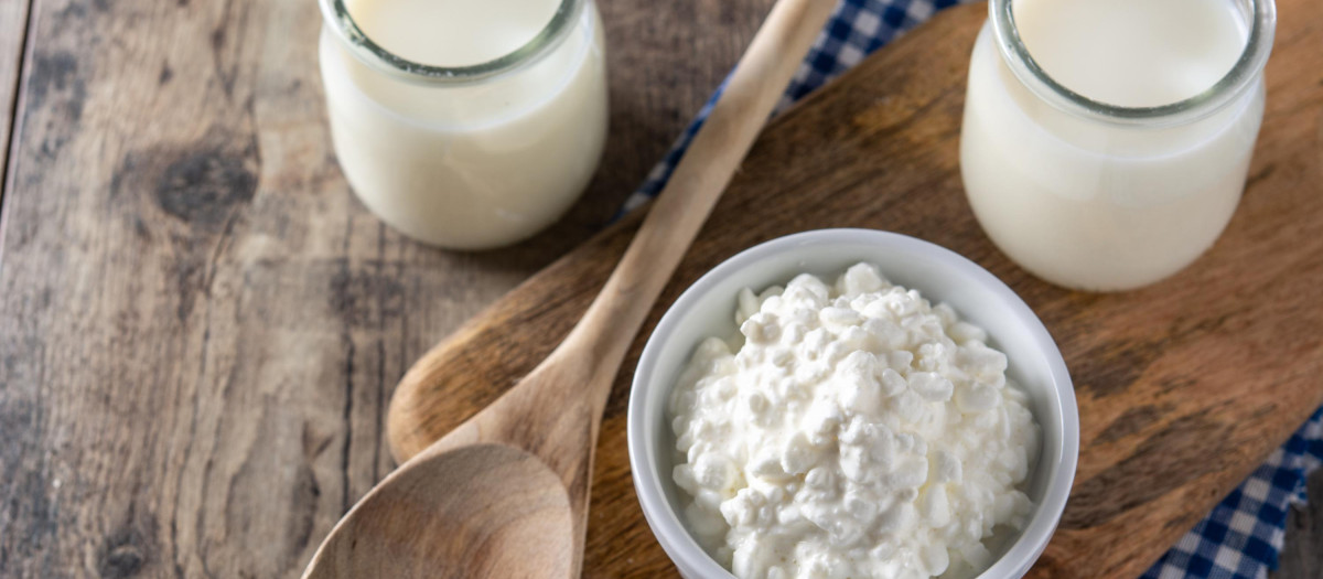 Los probióticos mejoran la interacción entre el intestino y el cerebro